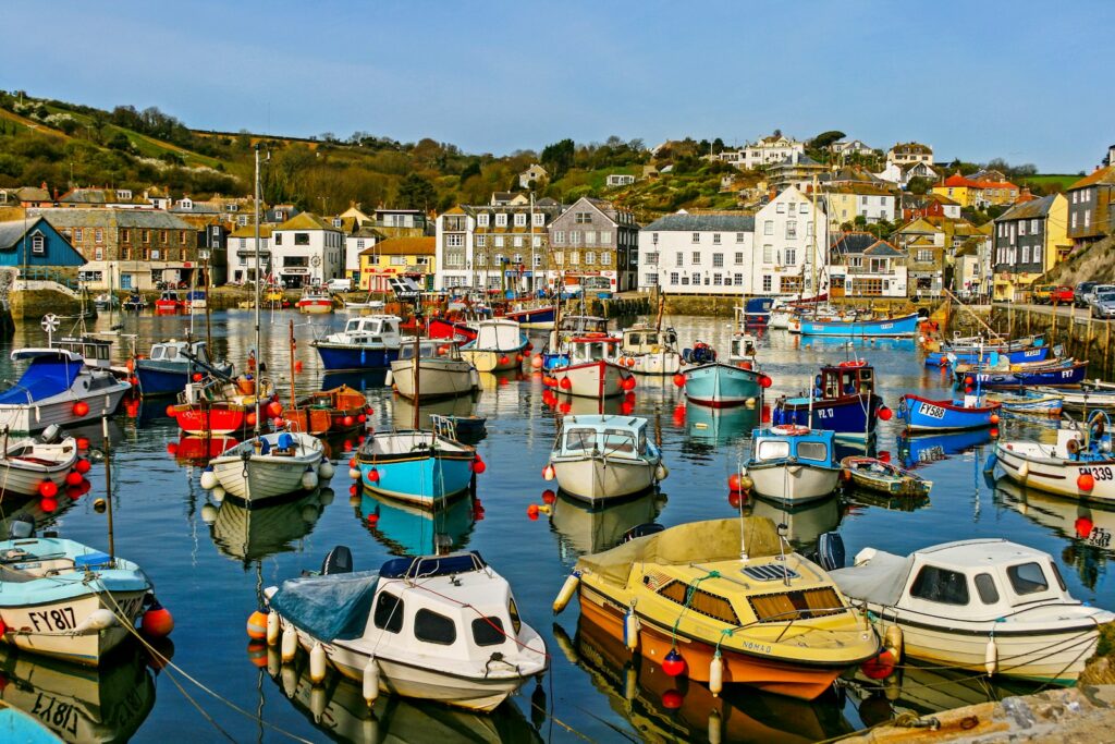 coloured boats in harbour during daytime