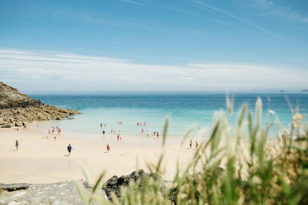 cornwall beach with blue sea and plants close to camera